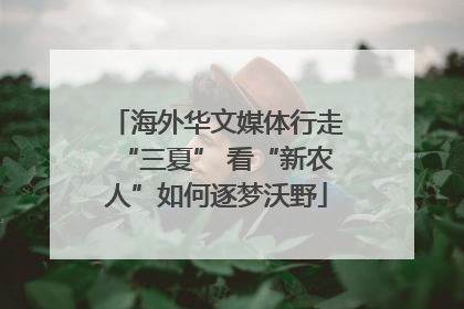海外华文媒体行走“三夏” 看“新农人”如何逐梦沃野
