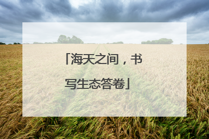 海天之间，书写生态答卷