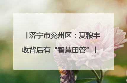 济宁市兖州区：夏粮丰收背后有“智慧田管”