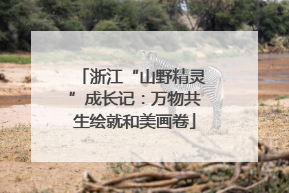 浙江“山野精灵”成长记：万物共生绘就和美画卷