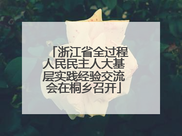 浙江省全过程人民民主人大基层实践经验交流会在桐乡召开