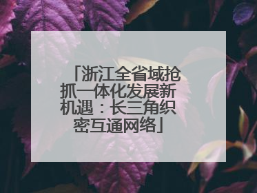 浙江全省域抢抓一体化发展新机遇：长三角织密互通网络