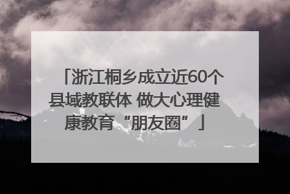 浙江桐乡成立近60个县域教联体 做大心理健康教育“朋友圈”