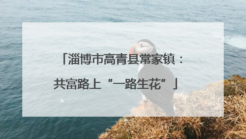 淄博市高青县常家镇：共富路上“一路生花”