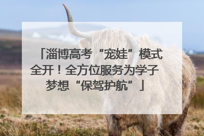 淄博高考“宠娃”模式全开！全方位服务为学子梦想“保驾护航”