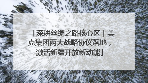 深耕丝绸之路核心区｜美克集团两大战略协议落地，激活新疆开放新动能
