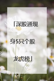 深股通现身5只个股龙虎榜