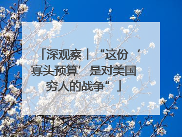 深观察丨“这份‘寡头预算’是对美国穷人的战争”