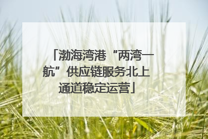 渤海湾港“两湾一航”供应链服务北上通道稳定运营