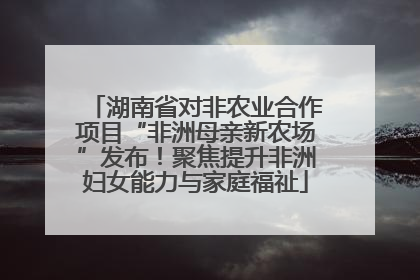 湖南省对非农业合作项目“非洲母亲新农场”发布！聚焦提升非洲妇女能力与家庭福祉