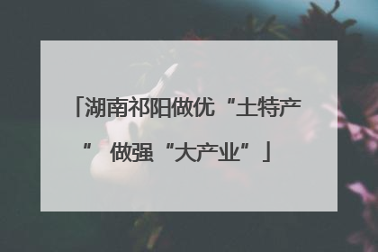 湖南祁阳做优“土特产” 做强“大产业”