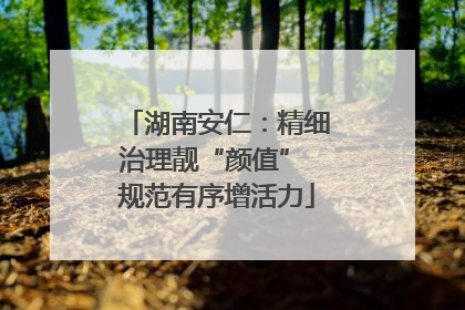 湖南安仁：精细治理靓“颜值” 规范有序增活力