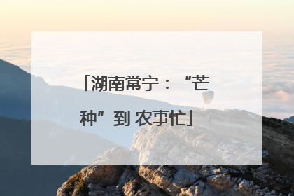 湖南常宁：“芒种”到 农事忙