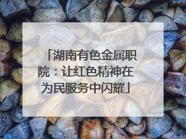 湖南有色金属职院：让红色精神在为民服务中闪耀