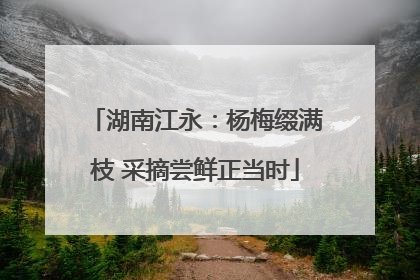 湖南江永：杨梅缀满枝 采摘尝鲜正当时