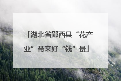 湖北省郧西县“花产业”带来好“钱”景