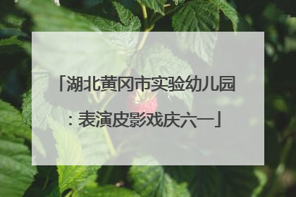 湖北黄冈市实验幼儿园：表演皮影戏庆六一