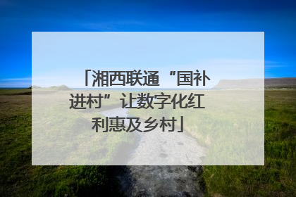 湘西联通“国补进村”让数字化红利惠及乡村