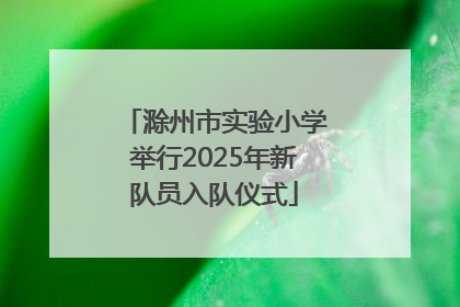 滁州市实验小学举行2025年新队员入队仪式