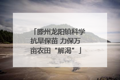 滕州龙阳镇科学抗旱保苗 力保万亩农田“解渴”