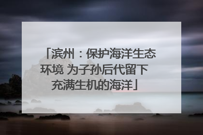 滨州：保护海洋生态环境 为子孙后代留下充满生机的海洋
