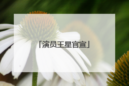 演员王星官宣