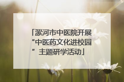 漯河市中医院开展“中医药文化进校园”主题研学活动