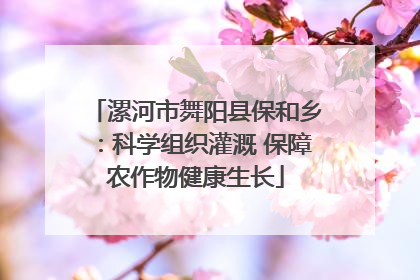漯河市舞阳县保和乡：科学组织灌溉 保障农作物健康生长