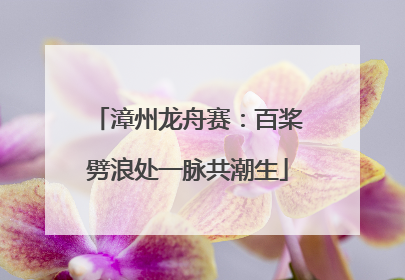 漳州龙舟赛：百桨劈浪处一脉共潮生