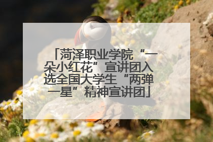 菏泽职业学院“一朵小红花”宣讲团入选全国大学生“两弹一星”精神宣讲团