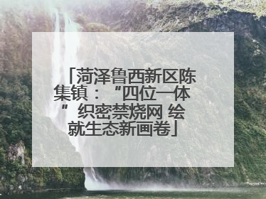 菏泽鲁西新区陈集镇：“四位一体”织密禁烧网 绘就生态新画卷