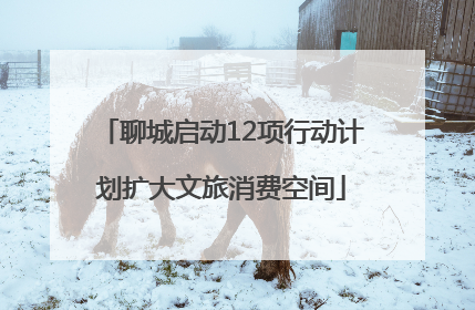 聊城启动12项行动计划扩大文旅消费空间