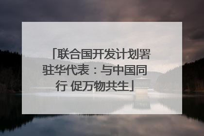 联合国开发计划署驻华代表：与中国同行 促万物共生