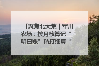 聚焦北大荒｜军川农场：按月核算记“明白账”精打细算“过紧日子”