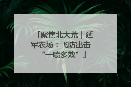 聚焦北大荒｜延军农场：飞防出击 “一喷多效”
