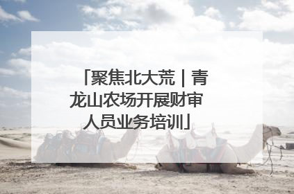 聚焦北大荒｜青龙山农场开展财审人员业务培训