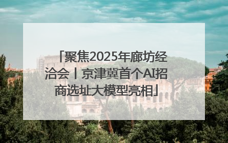 聚焦2025年廊坊经洽会丨京津冀首个AI招商选址大模型亮相
