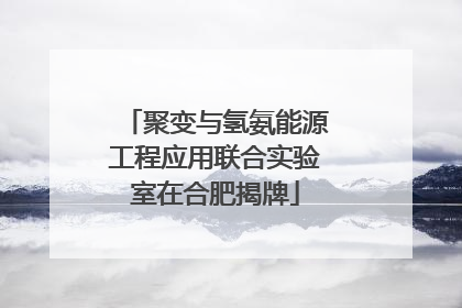 聚变与氢氨能源工程应用联合实验室在合肥揭牌