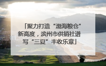 聚力打造“渤海粮仓”新高度，滨州市供销社谱写“三夏”丰收乐章