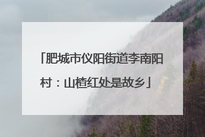 肥城市仪阳街道李南阳村：山楂红处是故乡