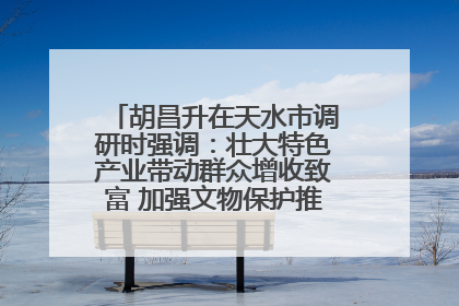 胡昌升在天水市调研时强调：壮大特色产业带动群众增收致富 加强文物保护推动文化创新发展