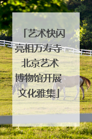 艺术快闪亮相万寿寺 北京艺术博物馆开展文化雅集