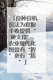良种良机良法为夏粮丰收提供“硬支撑” 农业现代化图景有“智”更有“质”