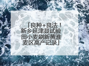 良种+良法！新乡延津县试验田小麦刷新黄淮麦区高产记录