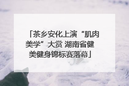 茶乡安化上演“肌肉美学”大赏 湖南省健美健身锦标赛落幕