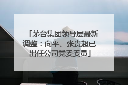 茅台集团领导层最新调整：向平、张贵超已出任公司党委委员