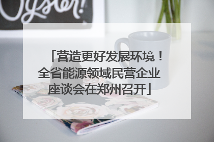 营造更好发展环境！全省能源领域民营企业座谈会在郑州召开