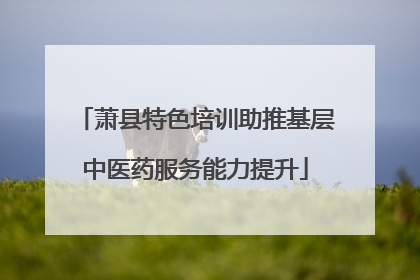 萧县特色培训助推基层中医药服务能力提升