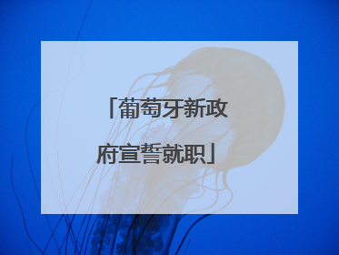 葡萄牙新政府宣誓就职
