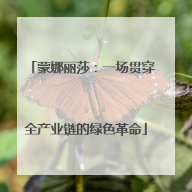 蒙娜丽莎：一场贯穿全产业链的绿色革命